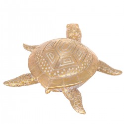 Tortuga